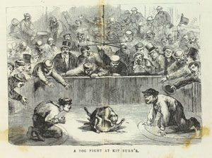 “A Dog Fight at Kit Burn’s,” in James McCabe. The Secrets of the Great City. Philadelphia: National Publishing Company, [1868].